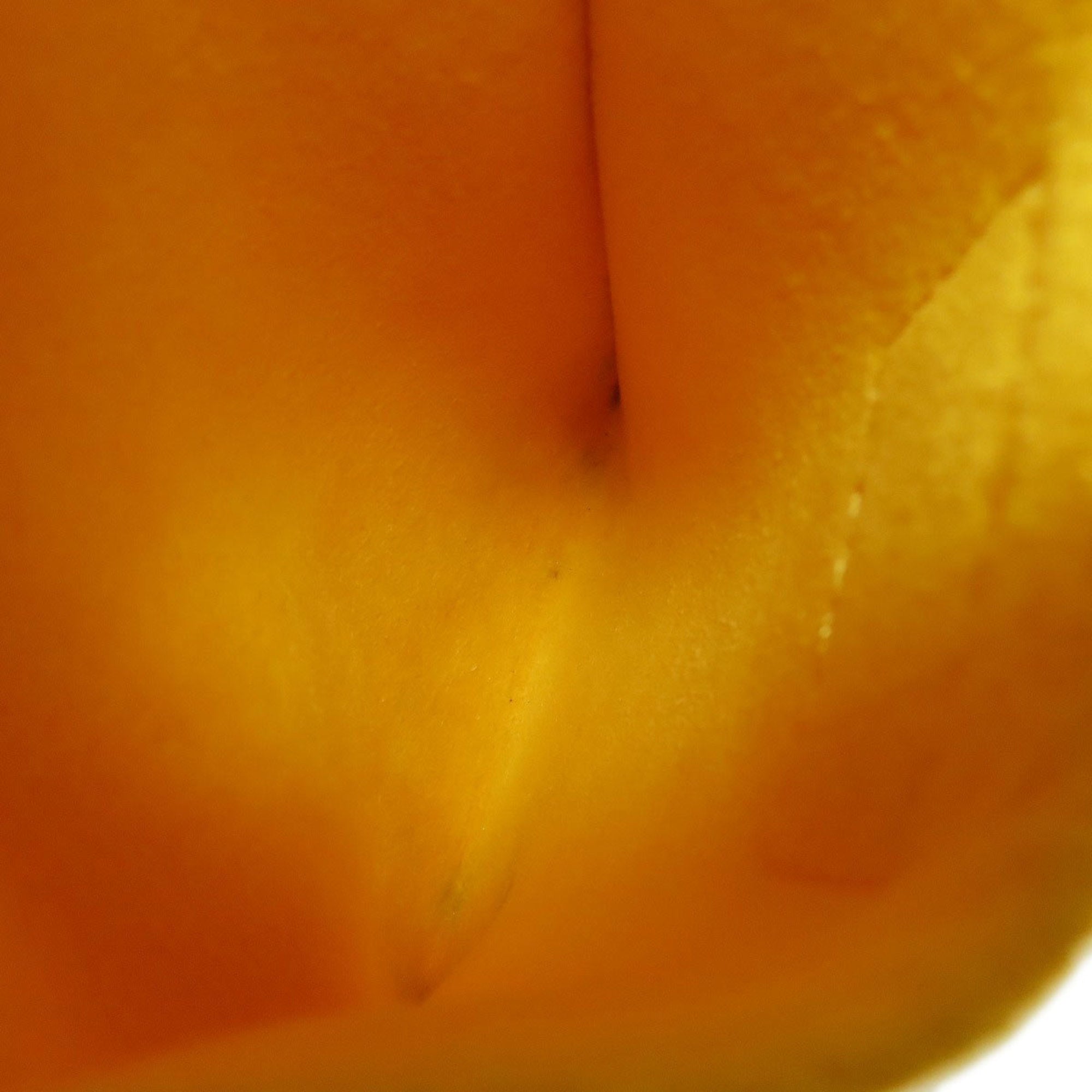 LOV M81068 Petite Sac Plat Handbag in Epi Leather for Women