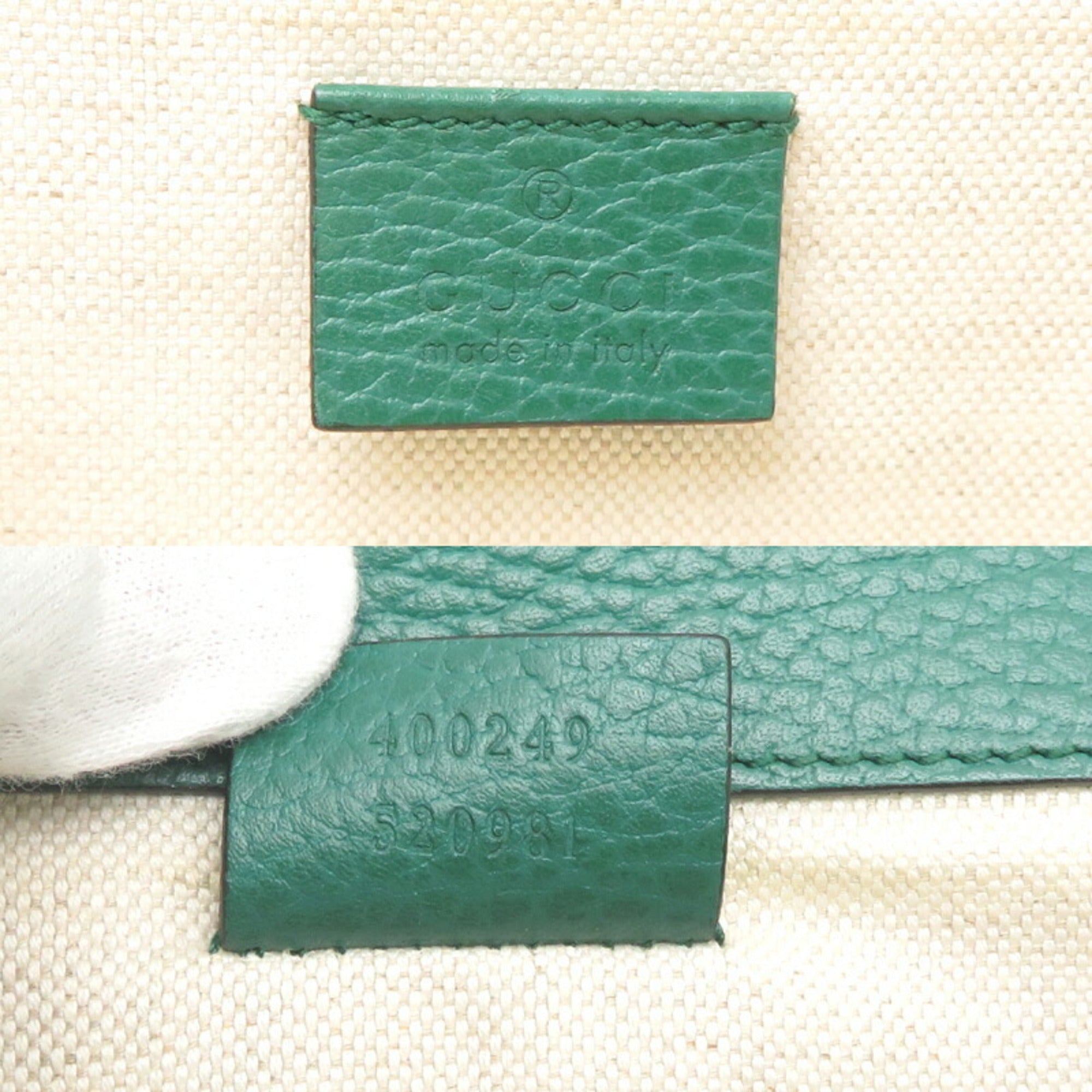 GCCI Dionysus Chain Shoulder Bag 400249 in Green Leather