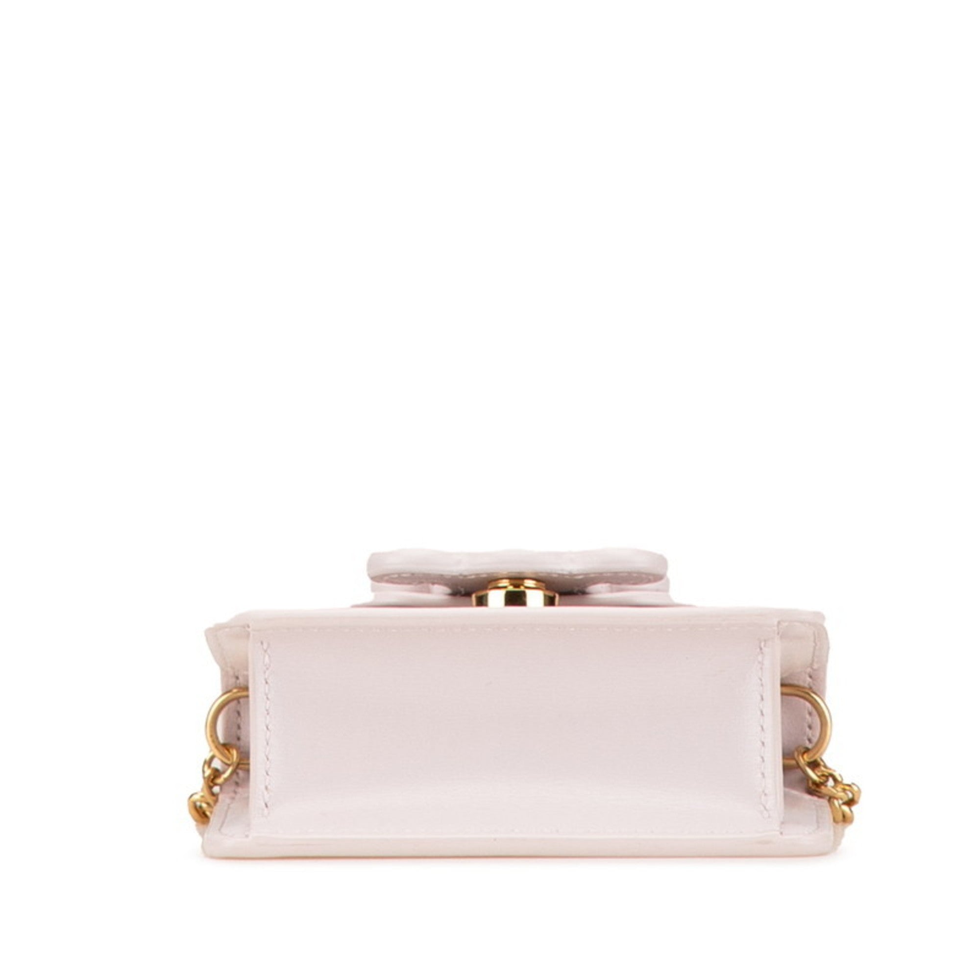CLNI Triomphe Chain Shoulder Bag in Pink Leather for Women