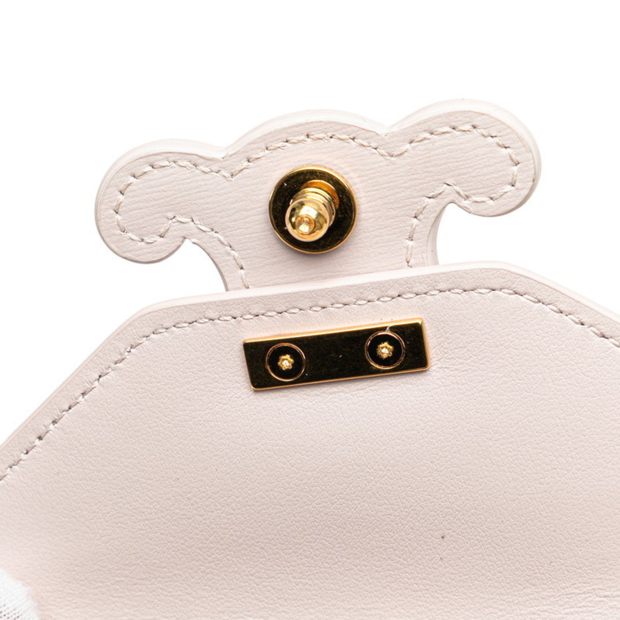 CLNI Triomphe Chain Shoulder Bag in Pink Leather for Women