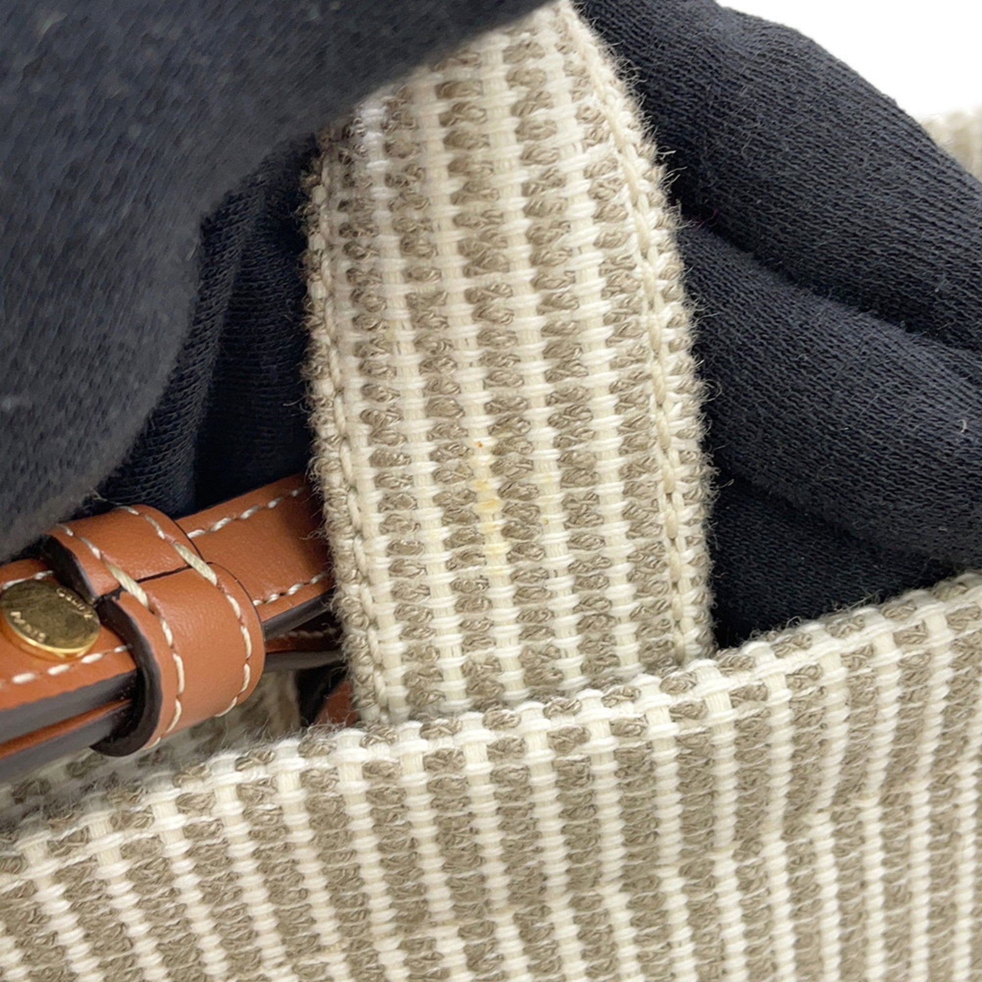 CLNI Small Cabas Thais Canvas Handbag 199162 CELINE 2-way