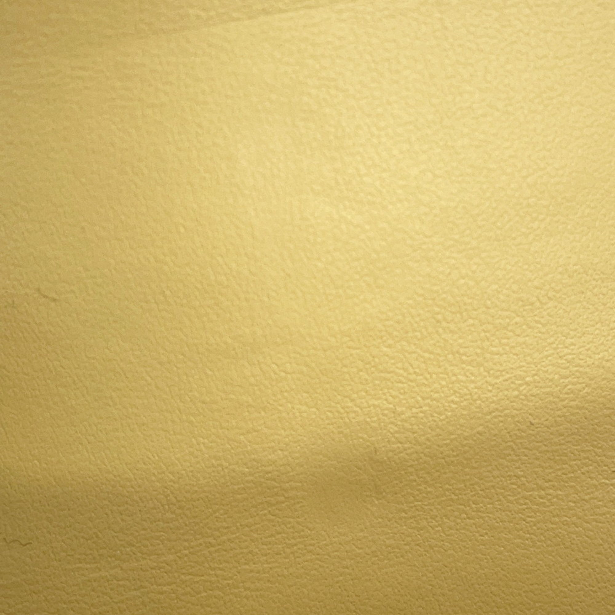 CLNI Triomphe Belt Bag 45BCN3, a waist pouch and body bag.