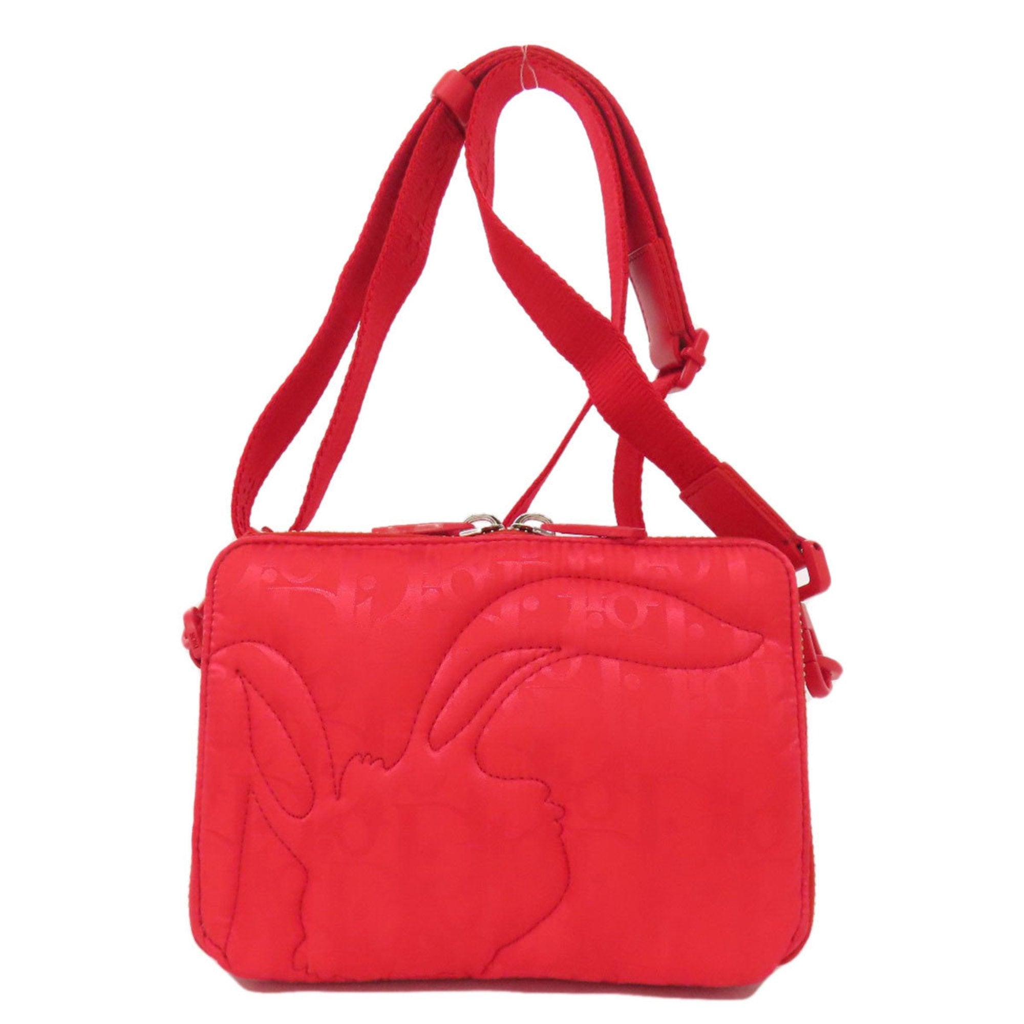 CRD Dior ERL Collaboration Trotter Pattern Mirage Nylon Shoulder Bag for Women