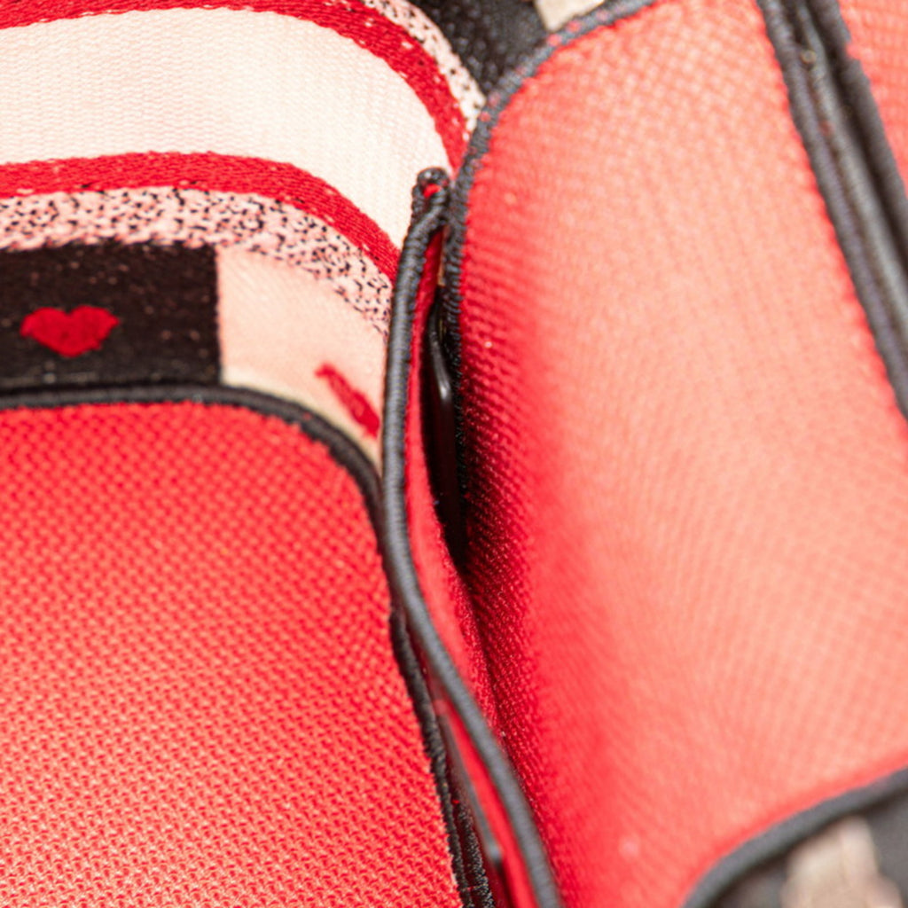 CRD Dior Dior Diora Mall Vanity Bag, Handbag, 2-Way, Black, White, Red, Canvas, Women's,